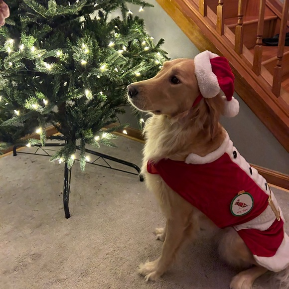 Meet your Posher, Danica - Picture 1 of 1